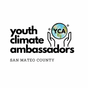 YCA-Logo